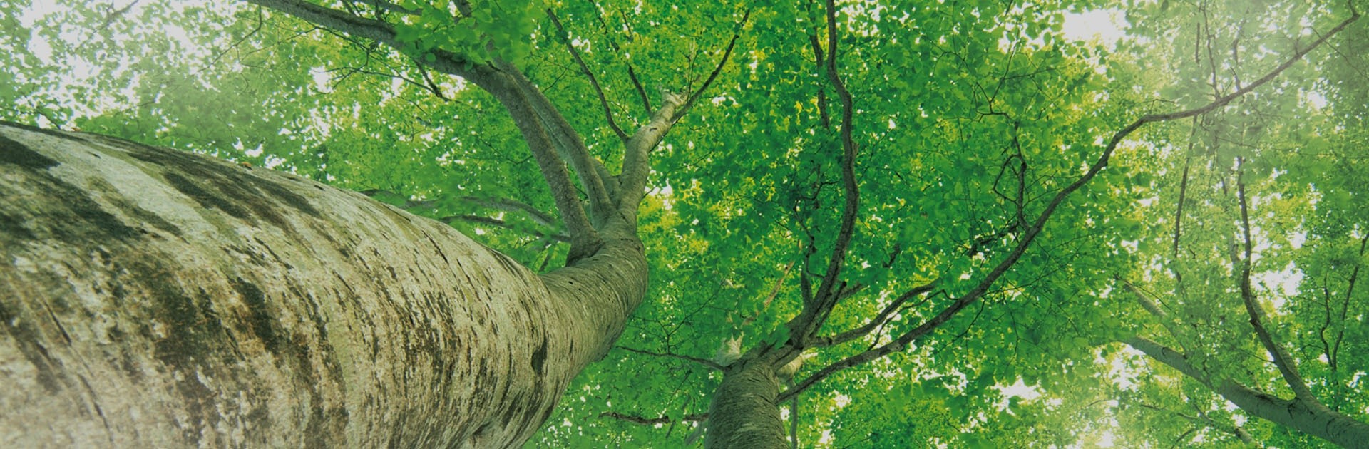 首页-人生就是博手机版