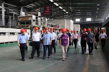 2018年9月12日，全国政协常委、提案委员会副主任郭庚茂、支树平携带调研组光临公司发展调研