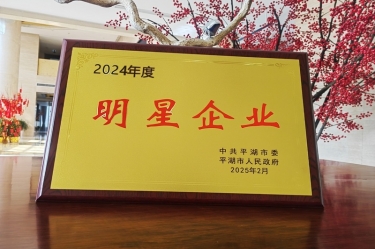 新春新景新形象 | 人生就是博手机版纸业在平湖三干大会上喜摘荣誉！